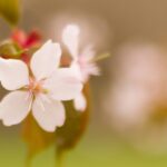 あの6か月間はどこへいったのだろうか。