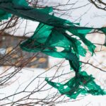 【15-FEB-2021】あの日の絡まるビニール【フォト日記】